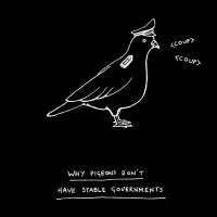 Pigeons Black - design