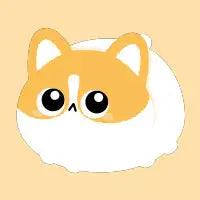 Corgi - design