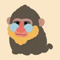 Mandrill Monkey - design
