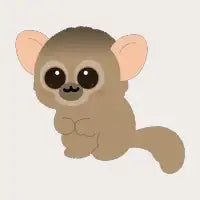 Night Monkey - design