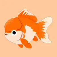Oranda Goldfish - design
