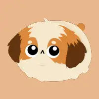 Shih Tzu - design