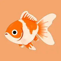 Wakin Goldfish - design