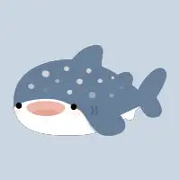 Whale Shark - design