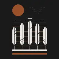 Snow Geese - design