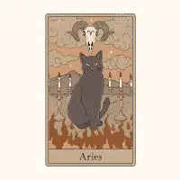 Aries Cat - design