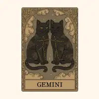 Cats Constellations - Gemini T-Shirt - design