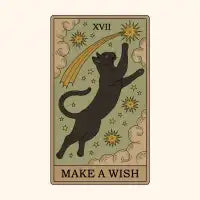 Make a Wish - design