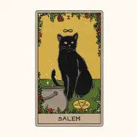 Salem - design