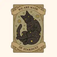 Stardust - design