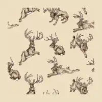 Where the Jackalopes Play - design