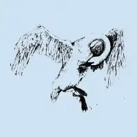 Pious Swan - design