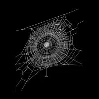 Spider's Web - design