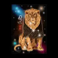 Leo - design