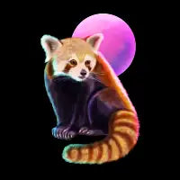 Red Panda - Black - design