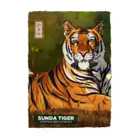Sunda Tiger - White - design