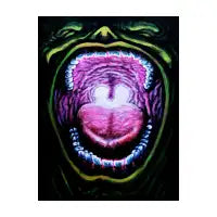 inner light - design