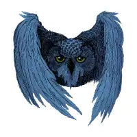 night owl - design
