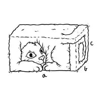 3D CAT - design