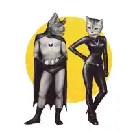 A Bat and a Cat - design
