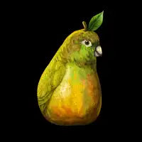 Bartlett Pearrot - design