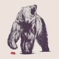 Bear Block - design