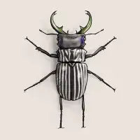 Betelgeuse - design