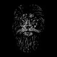 Black Lion - design