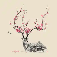 Blooming - design