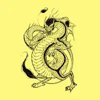 Bruce, the Dragon Notebook - design