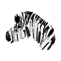 Brushes and Zebra - design