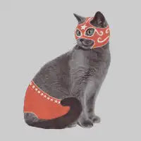 Cat Wrestler Blanket - design