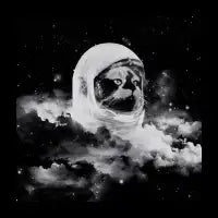 Catstronaut - design