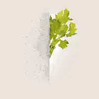 Celery Stalker - design