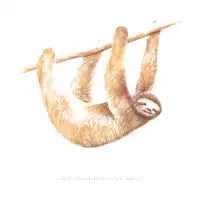 Css Animals: Sloth - design