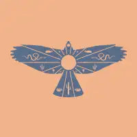 Desert Bird - design