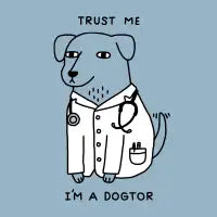 Dogtor - design
