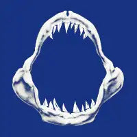 Doom Regatta - design