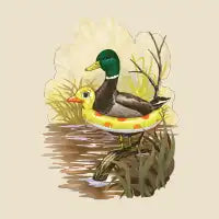 Duck in Training - design