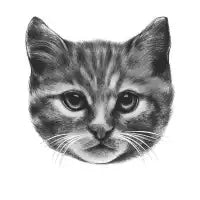 Everybody Wants to be a Cat - design