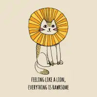 Everything is Rawrsome - design