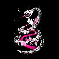 FUN RIBS - design