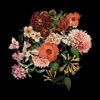 Garden - Jackson Duarte - design