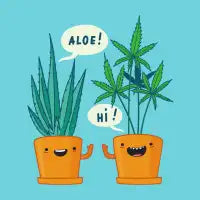 Greetings! - design
