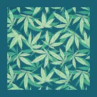 Hemp! - design