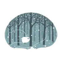 Hibearnation - design