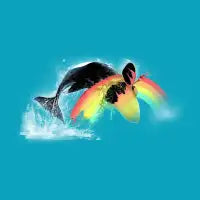 In Search of Color - design
