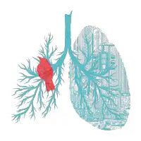 Inhalation - design