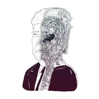Inside Drumpf - design