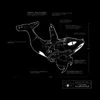 Killer Whale T-Shirt - design
